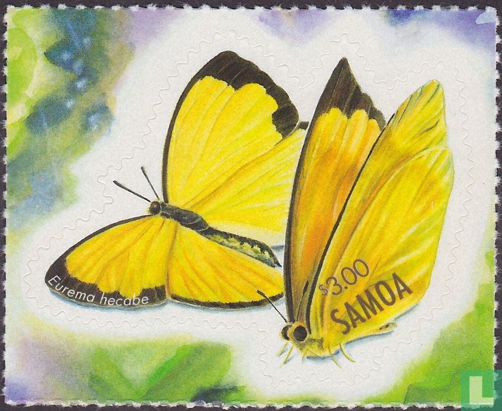Butterflies    