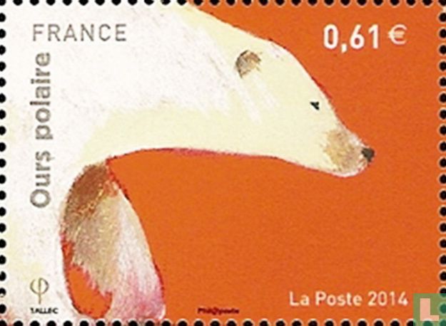 Bears