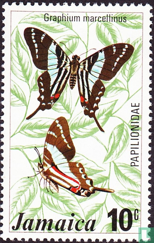 Butterflies