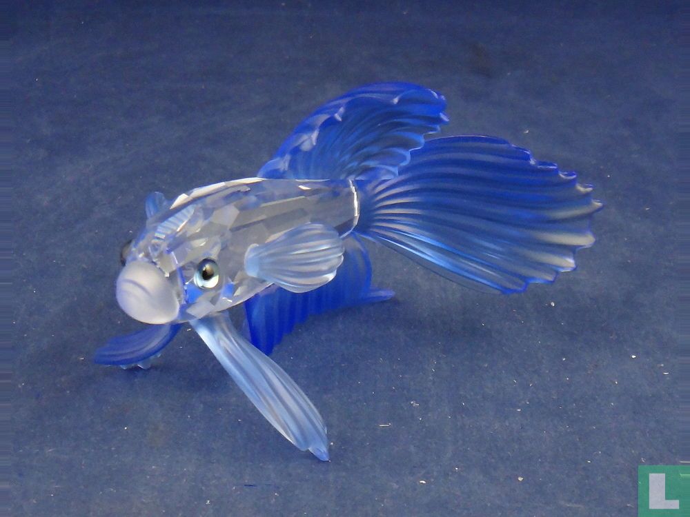 Siamese Fighting Fish Blue