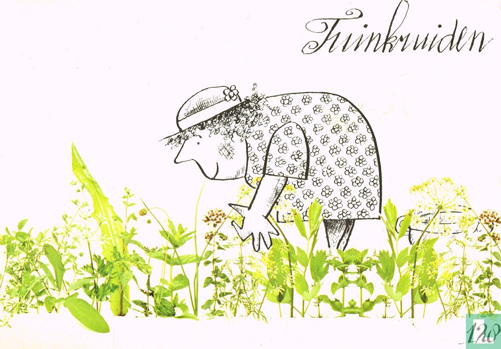 Tuinkruiden