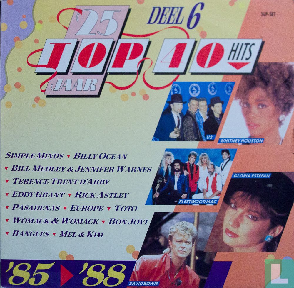 25 Jaar Top 40 Hits Deel 6 1985 1988 LP 4198906 1989 Diverse 25-jaar-top-40-hits-deel-6-1985-1988-lp-4198906-1989-diverse