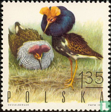 Oiseaux