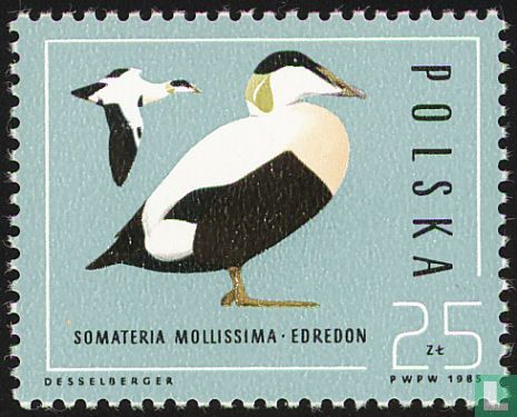 Canards