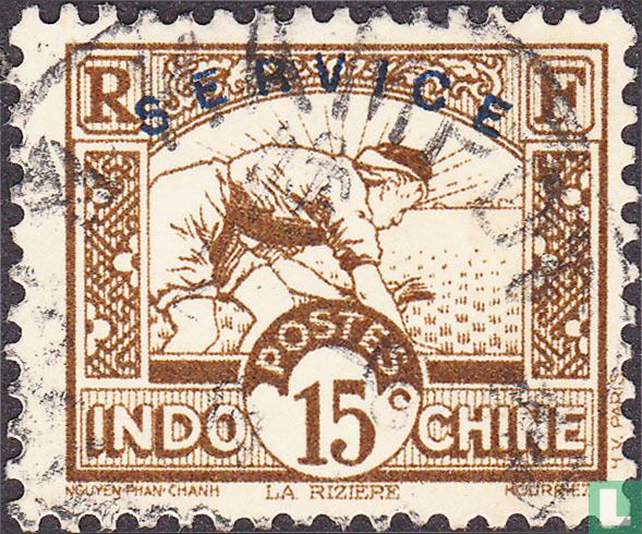 Rice fields, overprinted