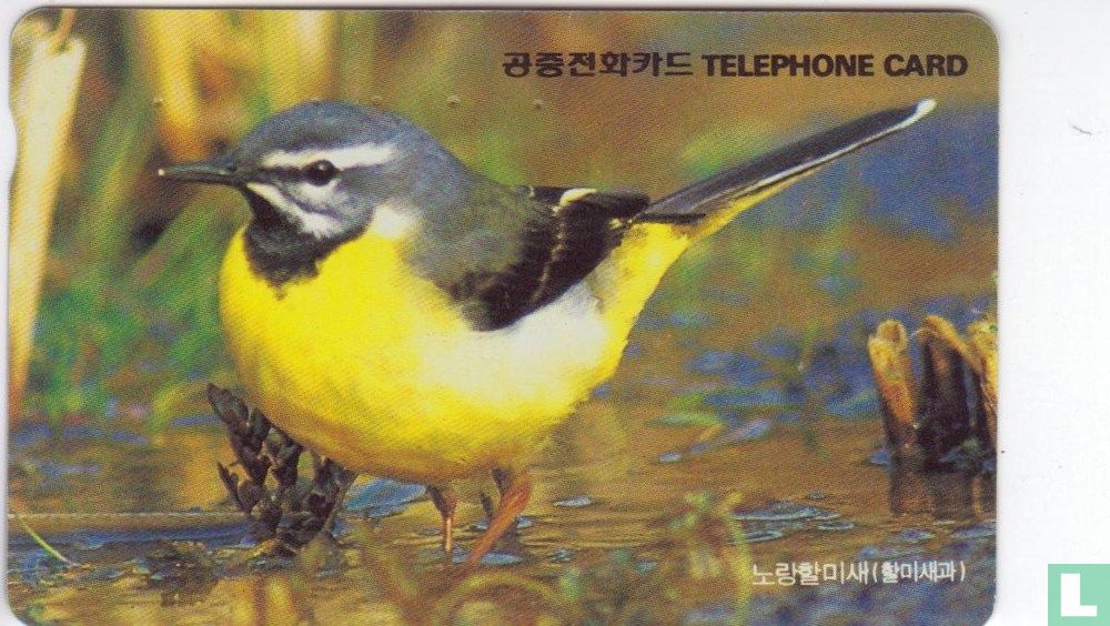 Bird