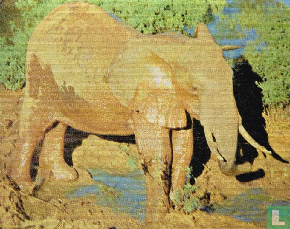 Olifant