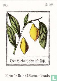 Der liebe lohn ist süss