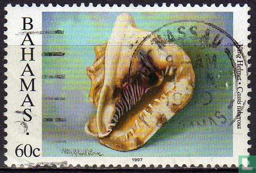 Coquilles