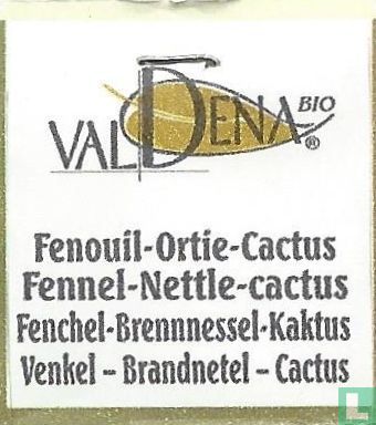 Fenouil-Ortie-Cactus