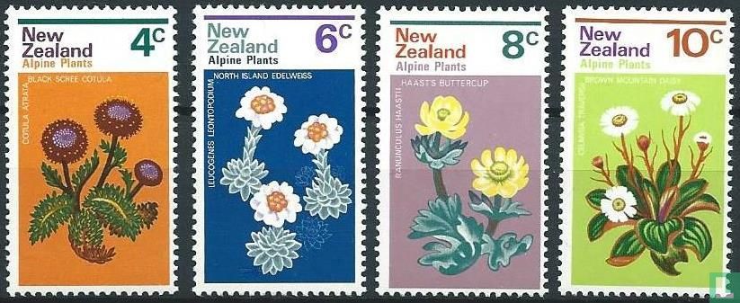 Alpenblumen