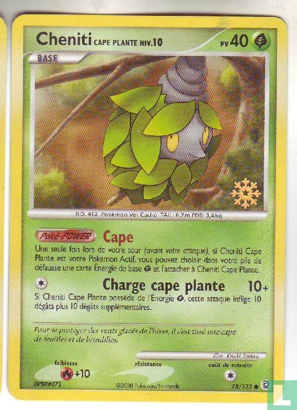 Cheniti cape plante