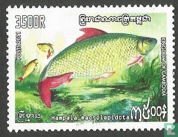 Poissons d'eau douce
