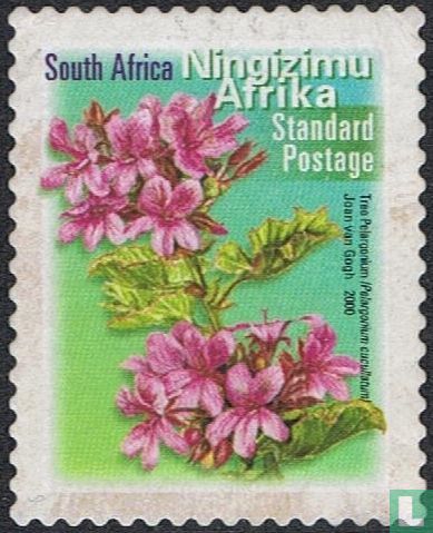 Blumen (Ningizimu)