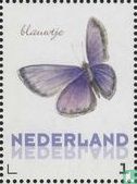 Blauwtje