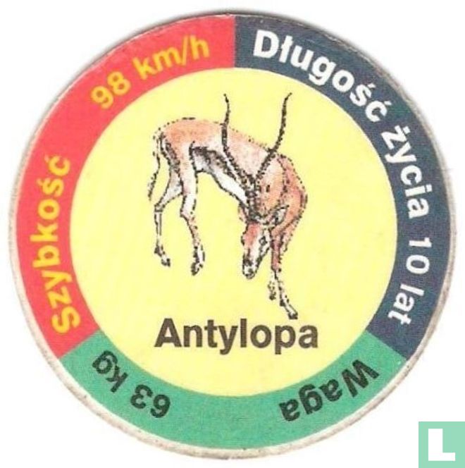 Antylopa