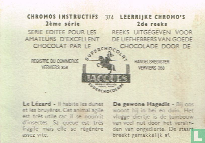 De gewone Hagedis