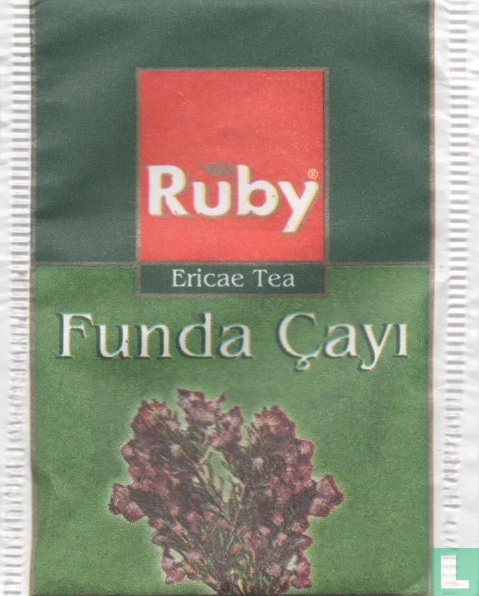 Funda Çayi