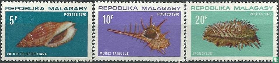 Shells (1970) - Madagascar - LastDodo