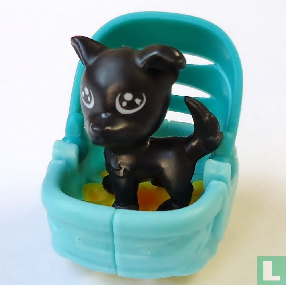 Black dog
