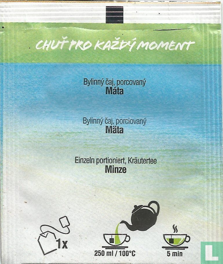 Máta