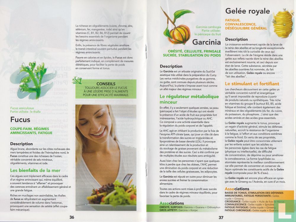 Précis de Phytothérapie