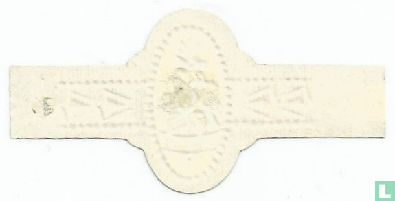 Elbaco  