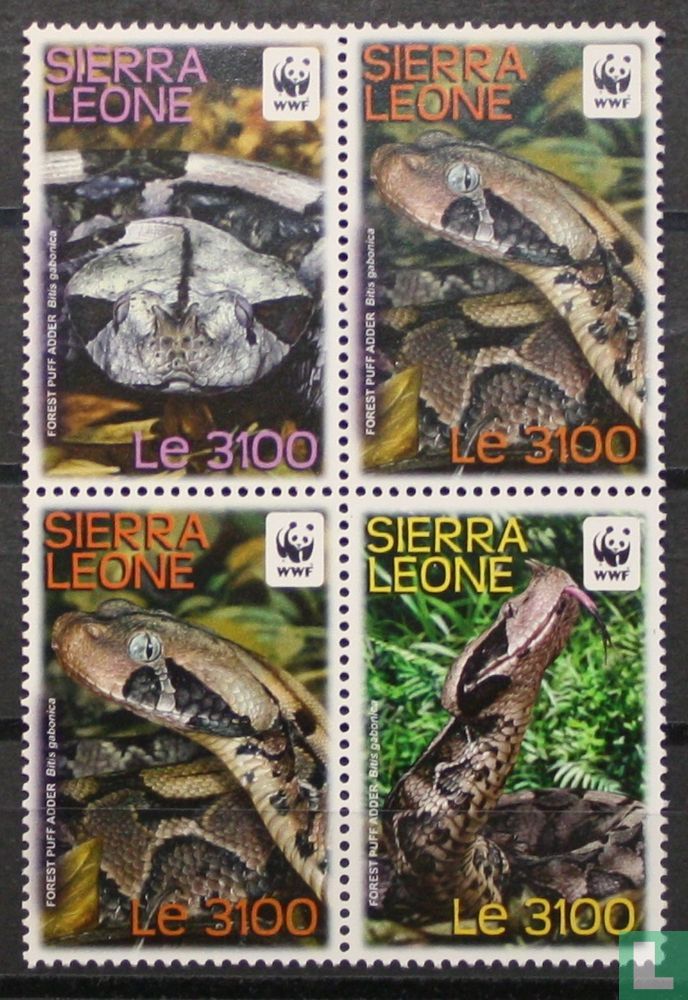 Reptiles WWF