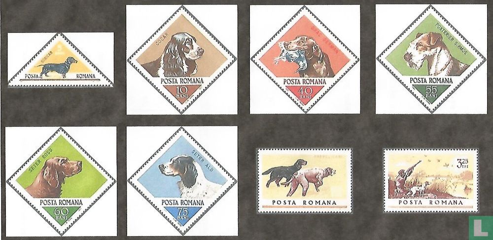 Jagdhunde