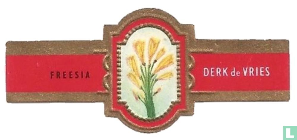 Freesia