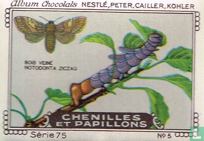 Bois veiné