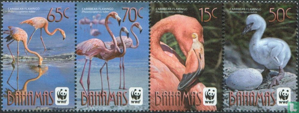 WWF - Flamingos
