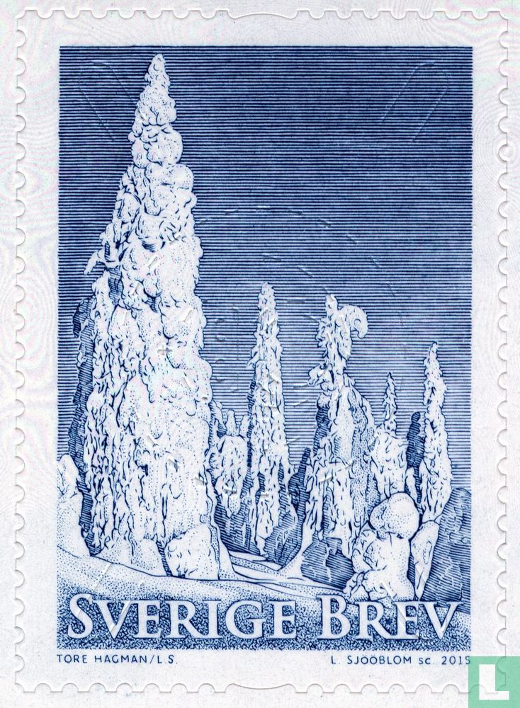 Winterbäume
