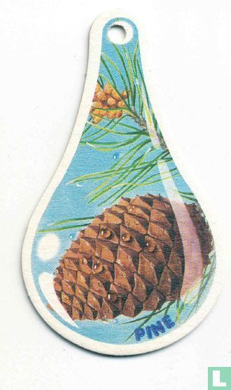 Pine