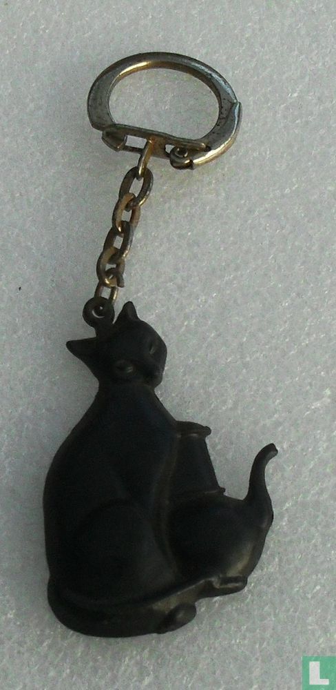 Zwarte kat