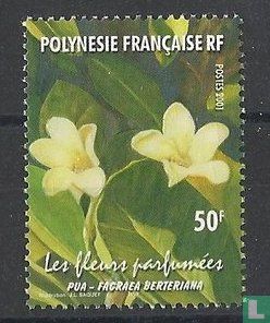 Fleurs parfumées