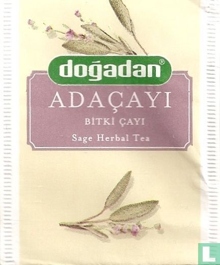 Adaçayi