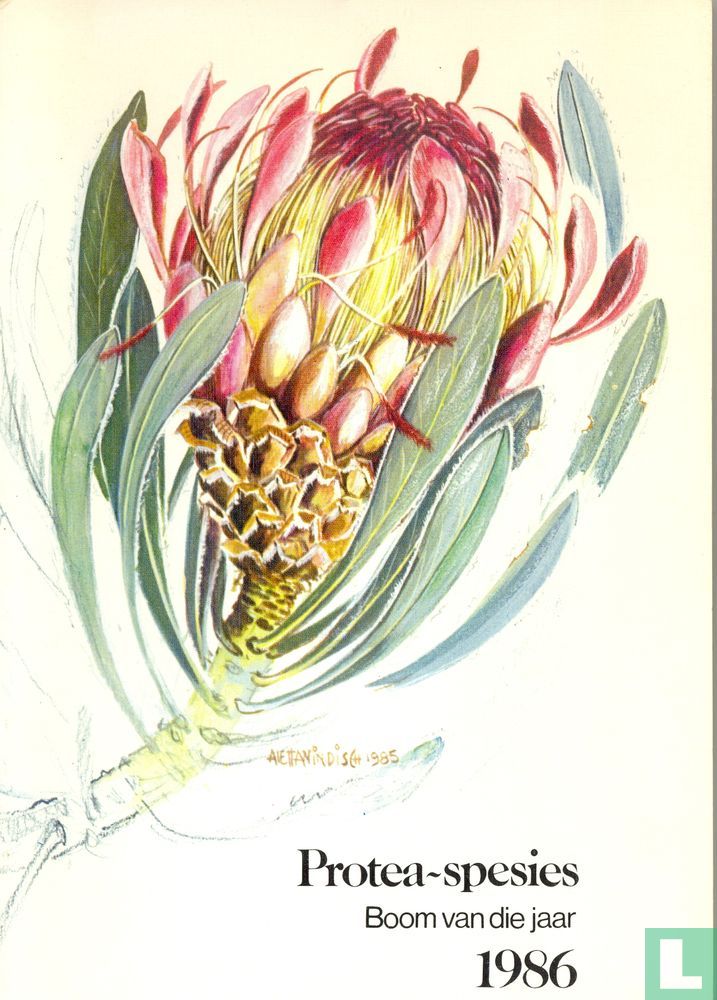 Protea-spescie