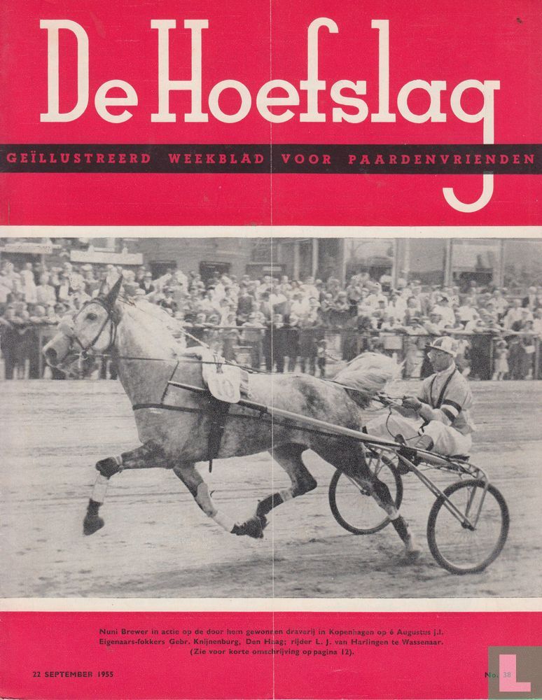 De Hoefslag 38