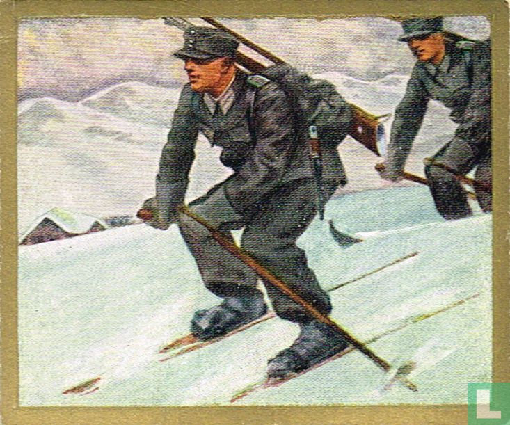 Skiheil