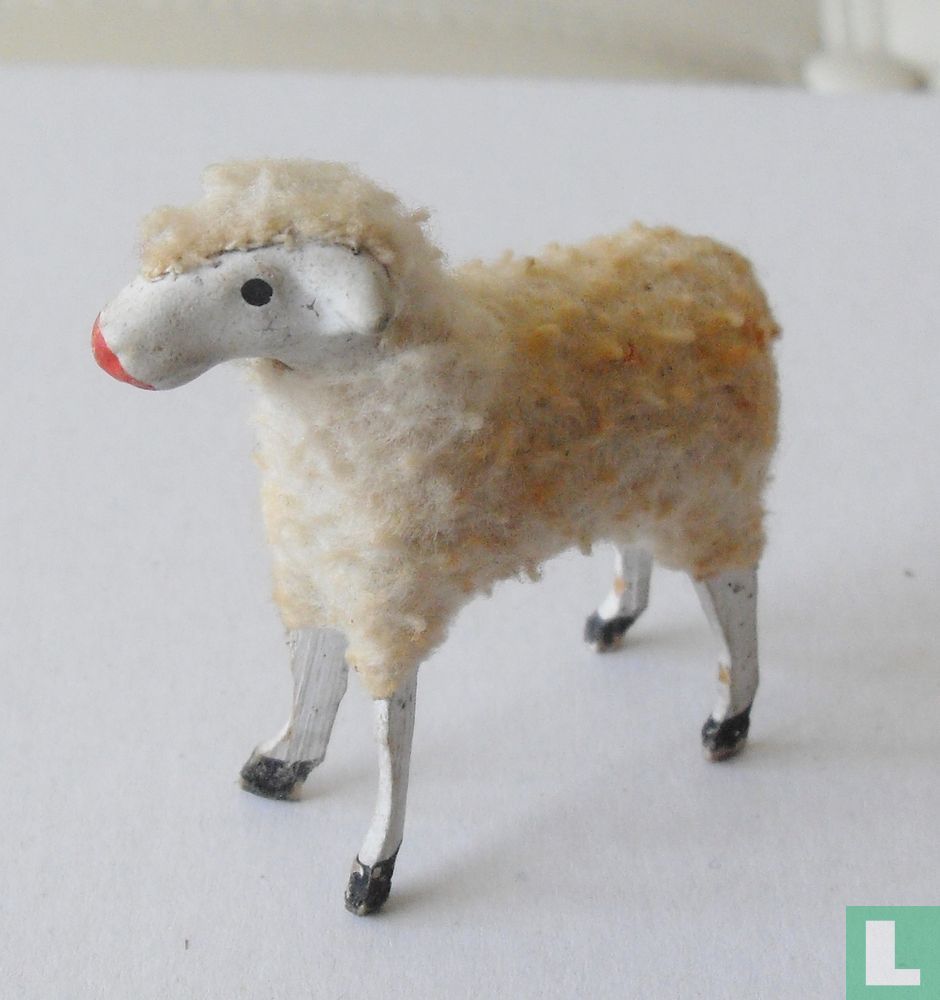 Schaap