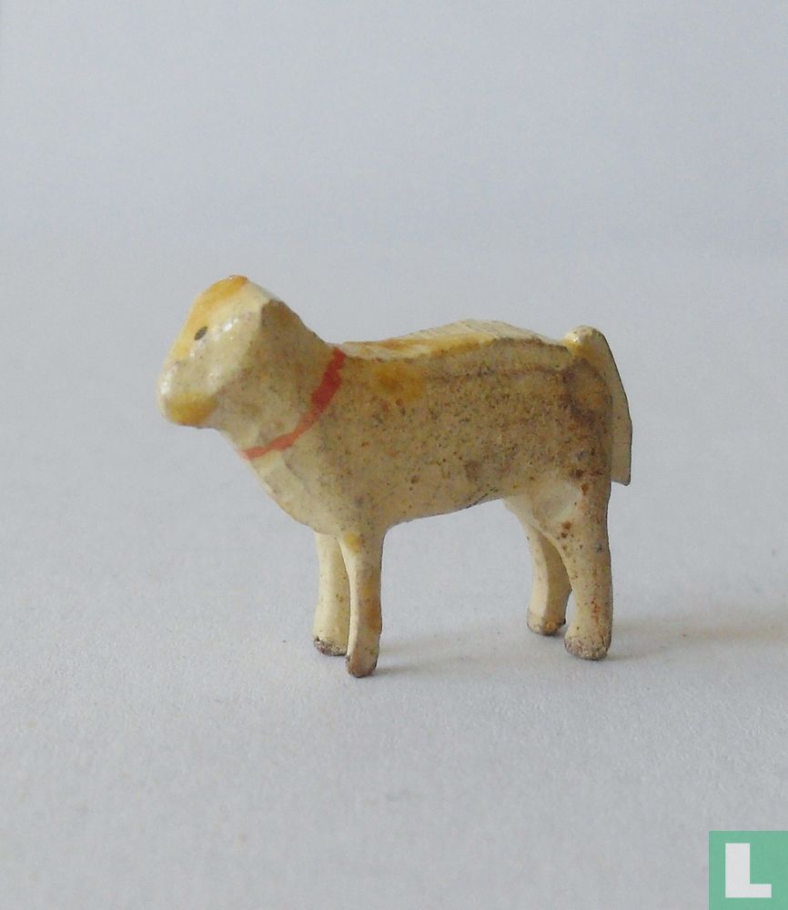 Schaap