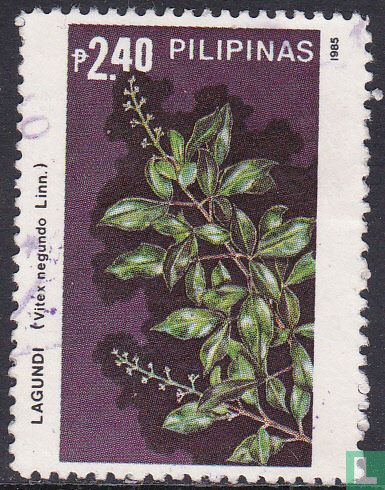 Flora
