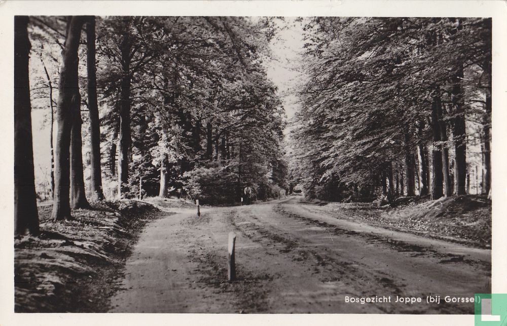 Bosgezicht Joppe (bij Gorssel)