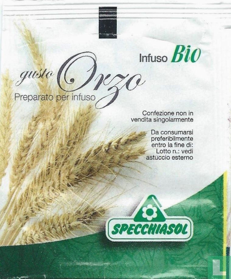 Orzo