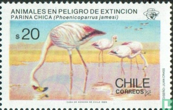 Jamesflamingo