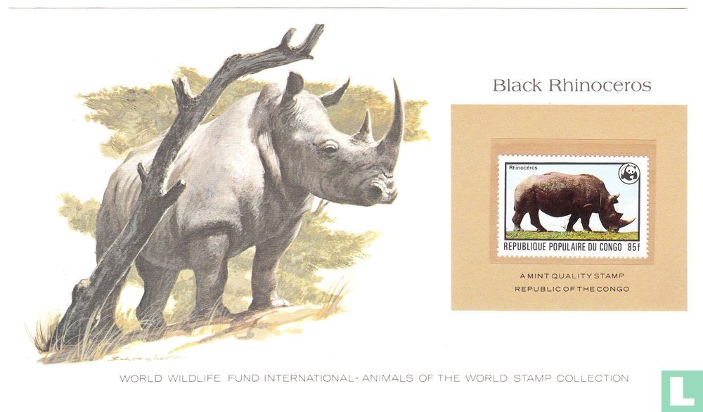 Spitzmaulnashorn