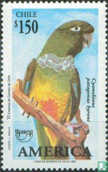 Conure de Patagonie
