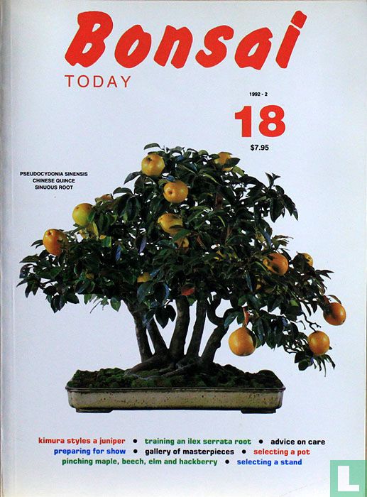 Bonsai Today 18