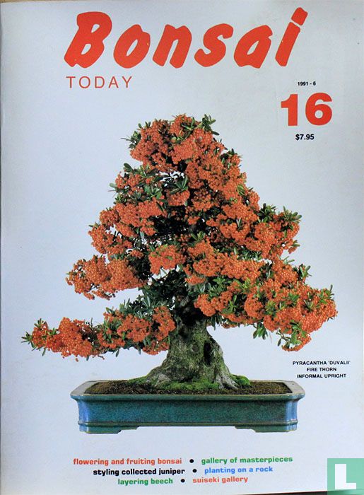 Bonsai Today 16